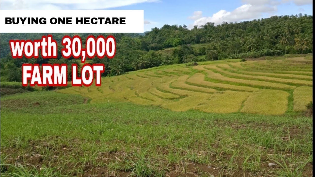 Buying a farm lot worth 30k peso's