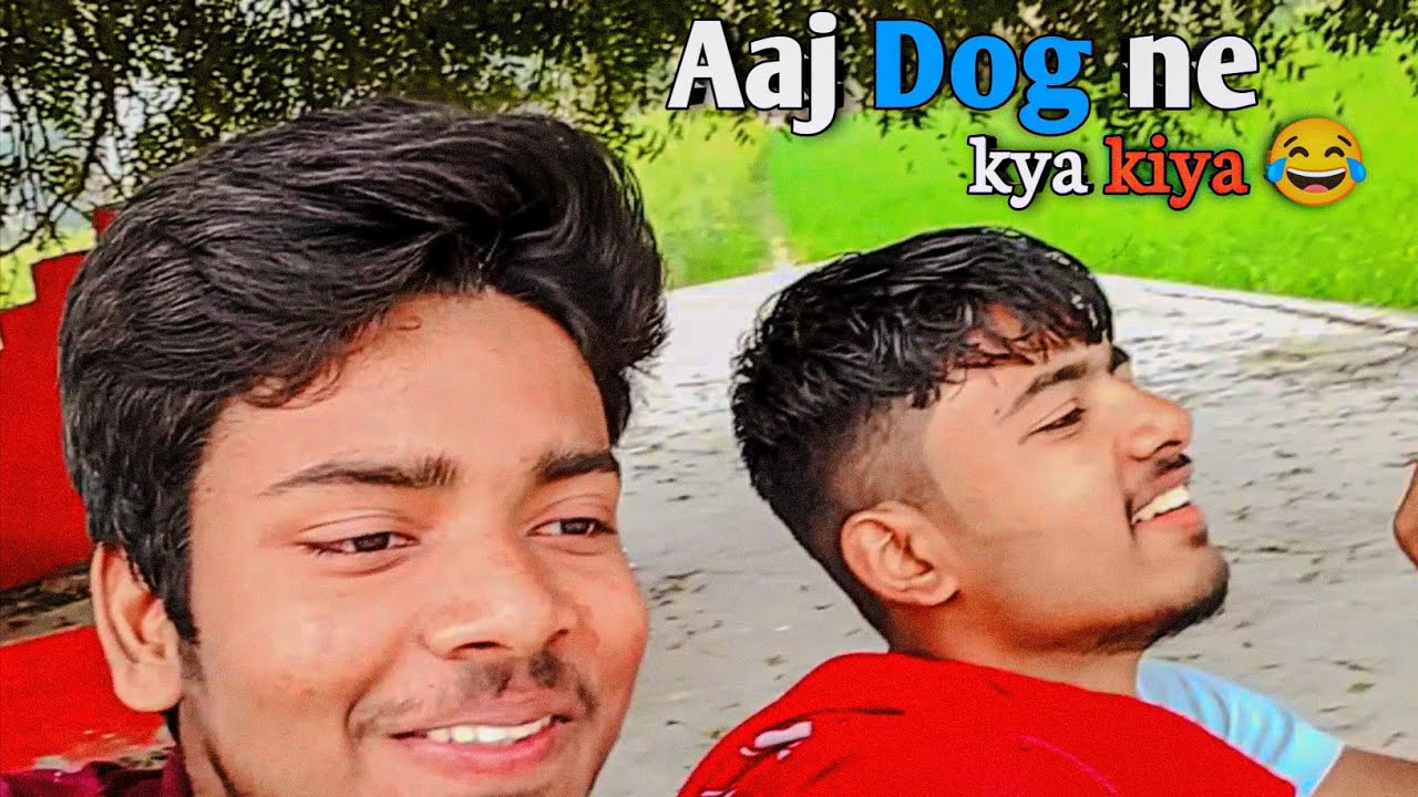 Aaj Dog ne kya kiya 😂?
