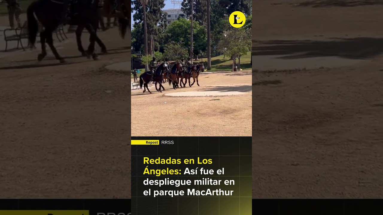 Redadas en Los &Aacute;ngeles: As&iacute; fue el despliegue militar en el parque MacArthur