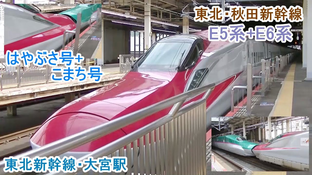 東北新幹線 大宮駅 E6系こまち号 と E5系はやぶさ号 上り方面 下り方面