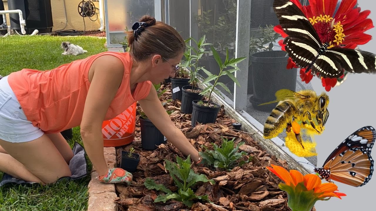 THESE Plants Bring All the Bees To Your Yard - No More Hand Pollinating