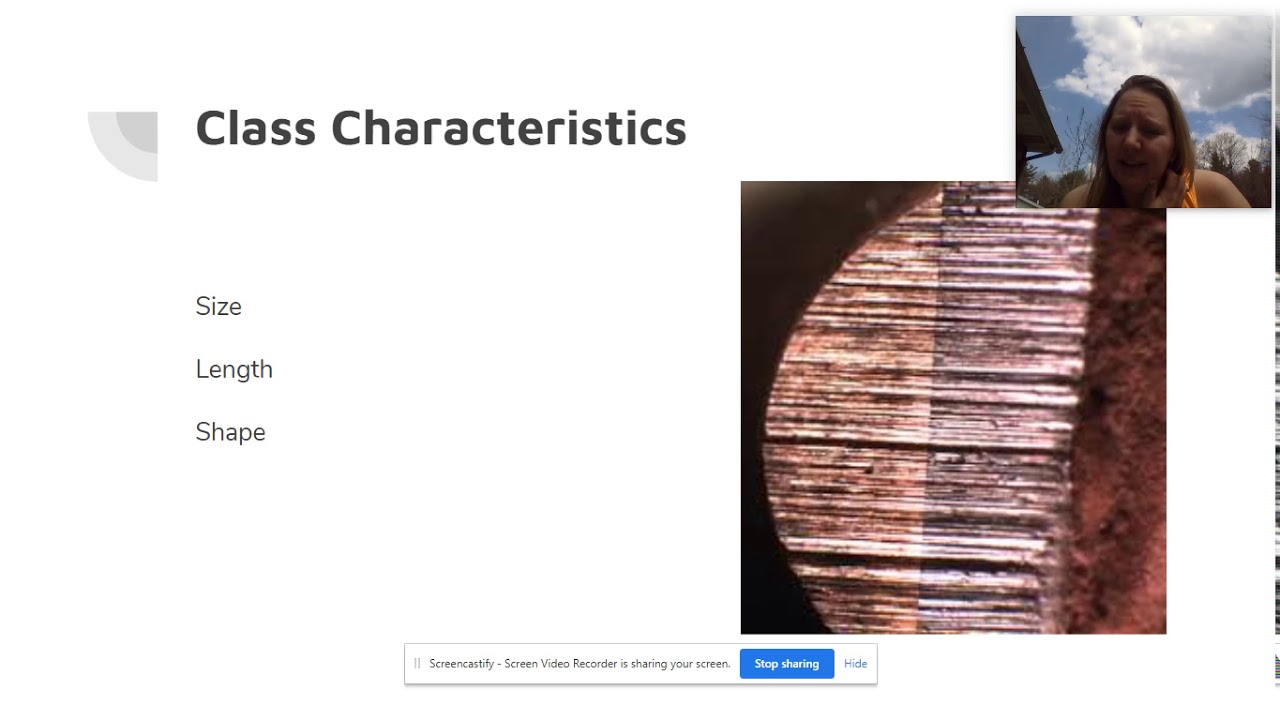 Forensic Science: Tool Marks Part 1
