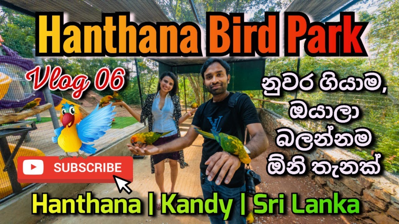 Hanthana International Bird Park | Kandy | Sri Lanka