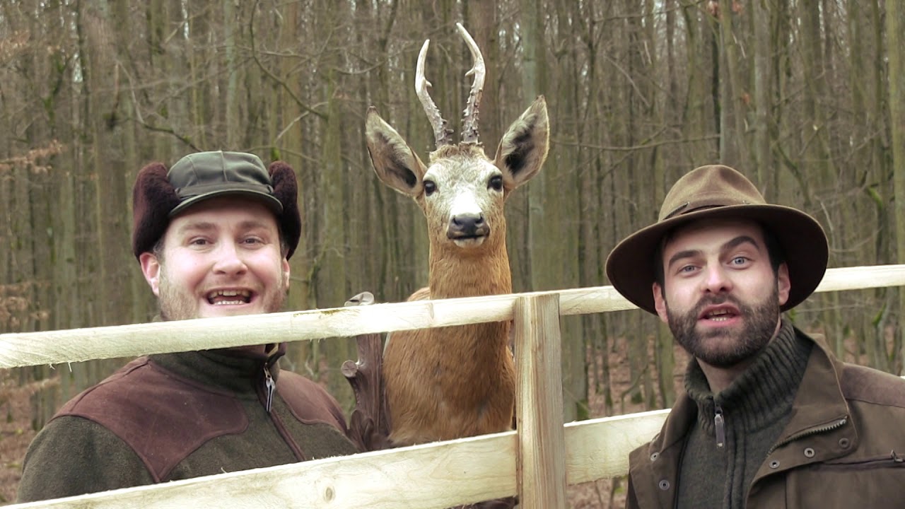 MARKAZÍNI - Zalesňovací - OFICIÁLNÍ VIDEOKLIP