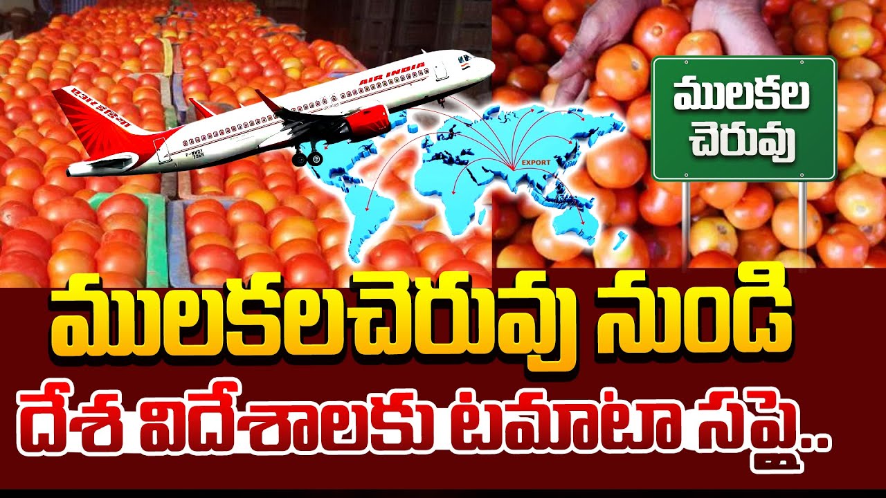 ములకలచెరువు నుండి దేశ విదేశాలకు టమాటా సప్లై.. | Mulakala Cheruvu Tomato | @sumantvannamayyadistrict