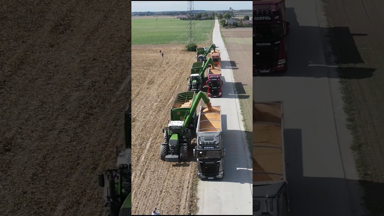 KOSZENIE QQ NA 3 KOMBAJNY 😍 #corn #harvest #newholland #fendt #bergmann #valtra #claas #rolnictwo
