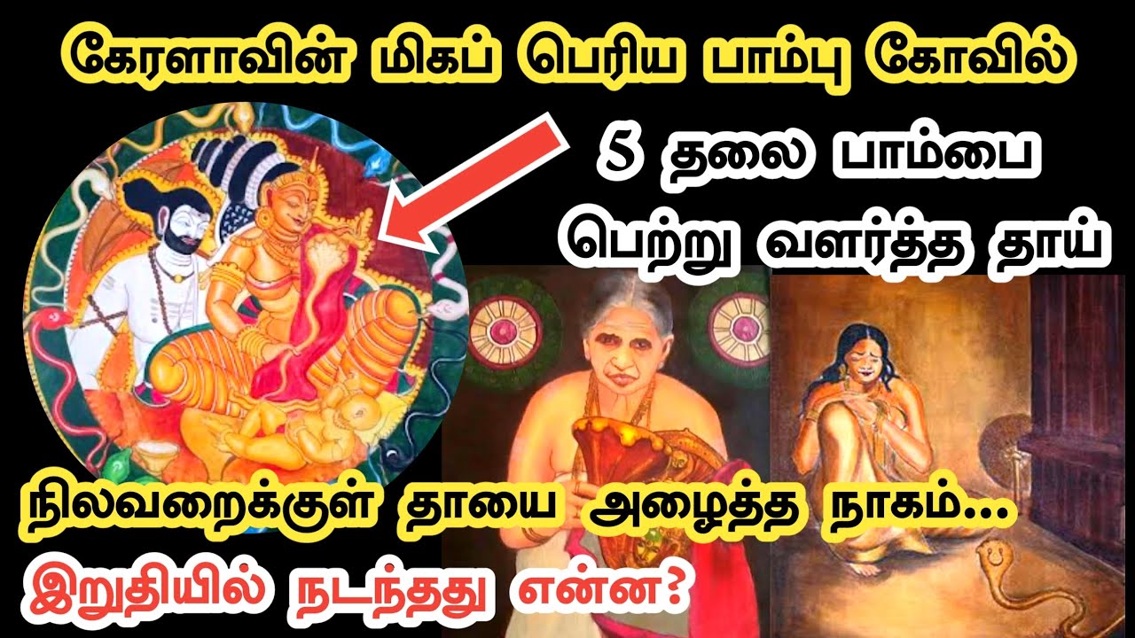 கேரளாவின்‌ மிகப்பெரிய பாம்பு கோவில் வரலாறு | Kerala Mannarasala Nagaraja Temple History in Tamil