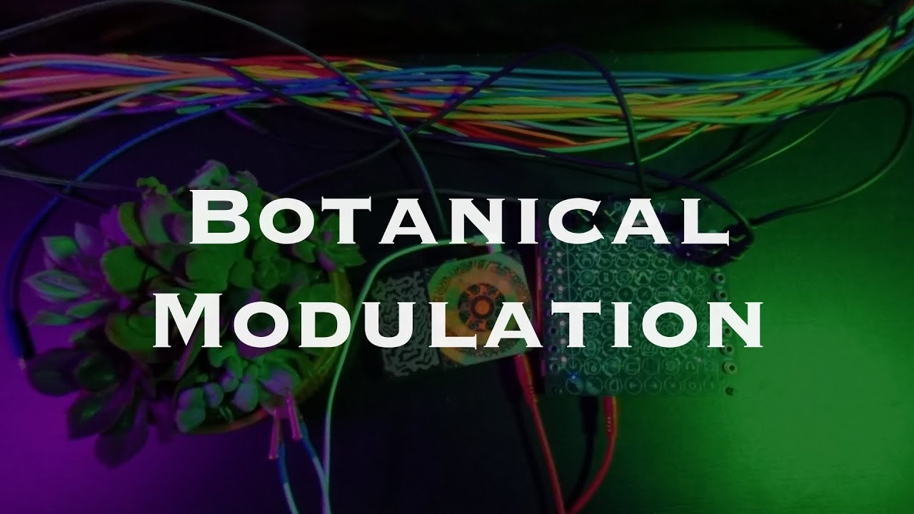 Botanical Modulation - Jamuary 20260125