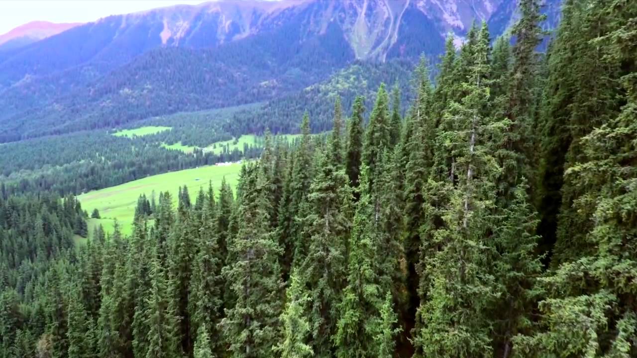 Какой же ты красивый Джеты-Огуз!