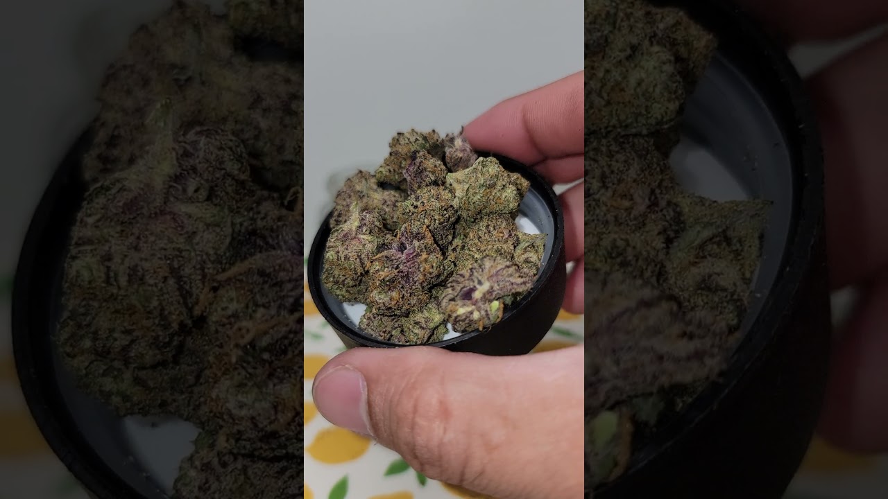 Lit Farms | Pluto 85 THCa 🔵 8️⃣5️⃣