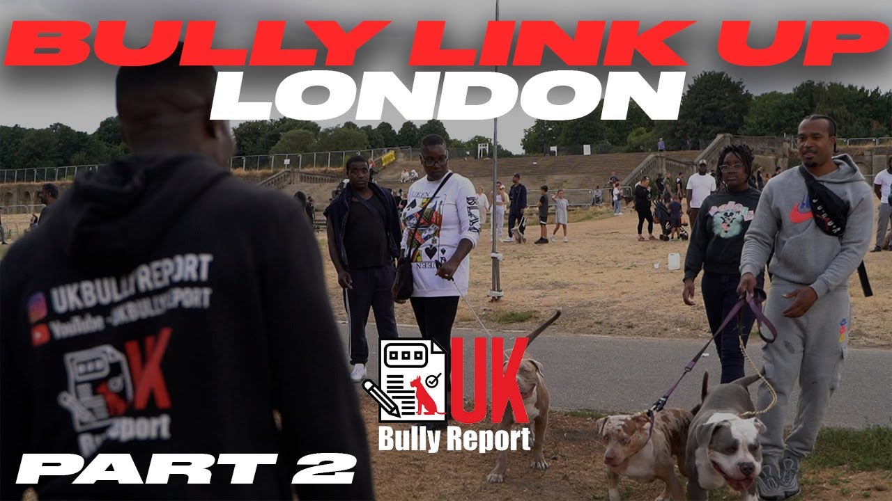 UK BULLY REPORT - Pt 2!! LONDON BULLY MEET UP Crystal Palace Park (POLICE REACTION)