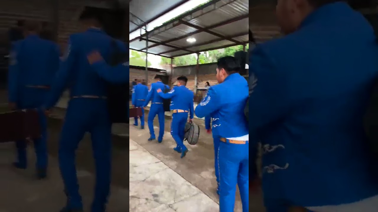 mariachi peniel 🎼🎶🎵🎺🎻🎼🎶🎵🎻🎺