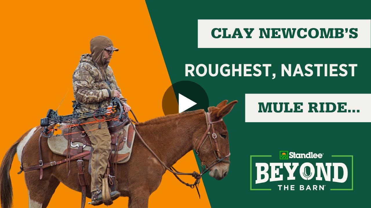 Clay Newcomb Talks About His Roughest, Nastiest Mule Ride with the Legendary Warner Glenn