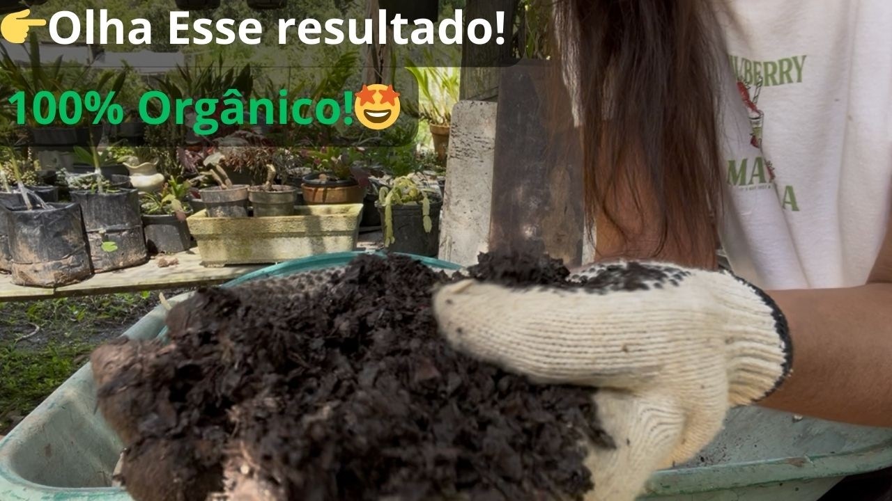 Substrato Orgânico Caseiro:Depois De 3 Meses Olha o Resultado #strawberryplants,#sustainableliving,
