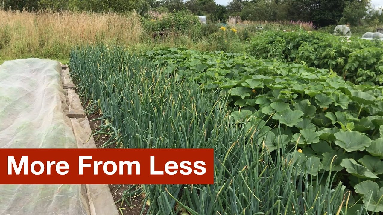 More From Less in the Simple Garden