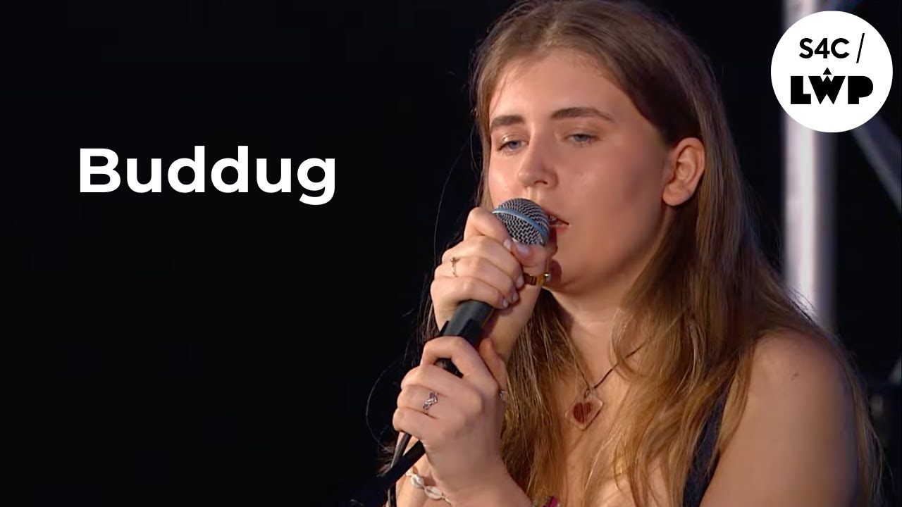 Buddug - 'Dal Dig' | Yn fyw o Tafwyl 2024