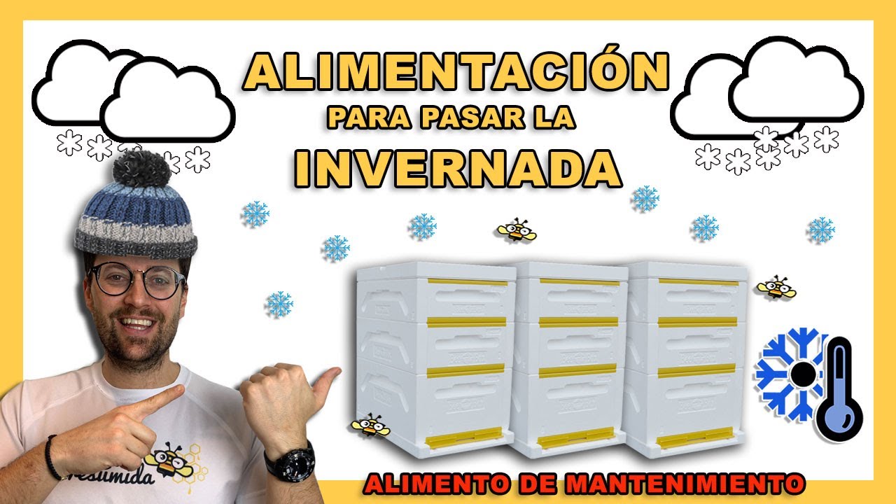 Alimento para la INVERNADA  🐝🧡🎥 Alimentaci&oacute;n de MANTENIMIENTO