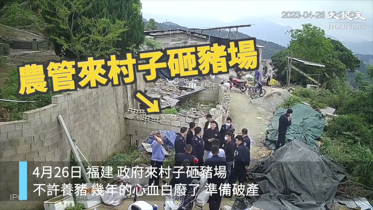 【焦點】糧食不夠🎯中國各地毀林造田💢😰  | 台灣大紀元時報