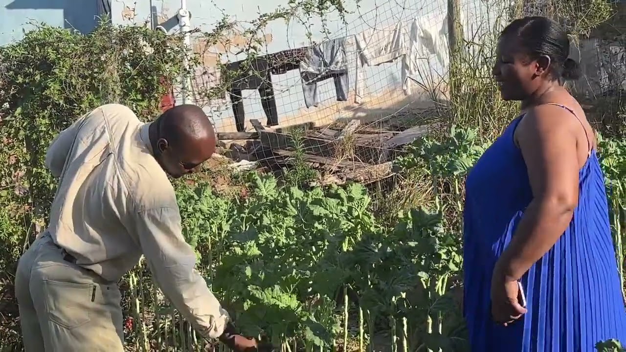 Mai Lavhu naBaba Hazvi mugarden 😂