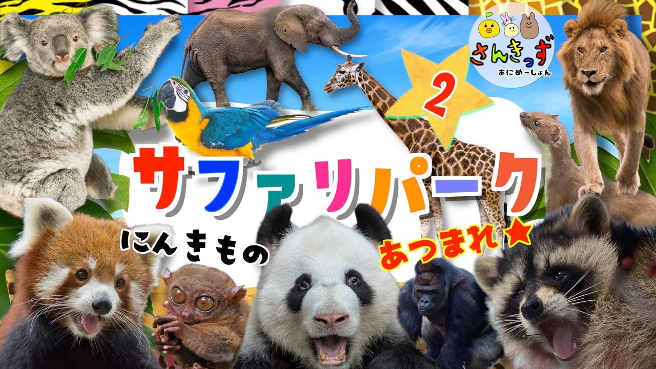 【子供向け 動物園アニメ】サファリパークへ行こう！part2★コアラ キリン レッサーパンダなど人気の動物たち20種類の動物の名前を覚えよう◎ 【うごく動物ずかん】動物の知育動画