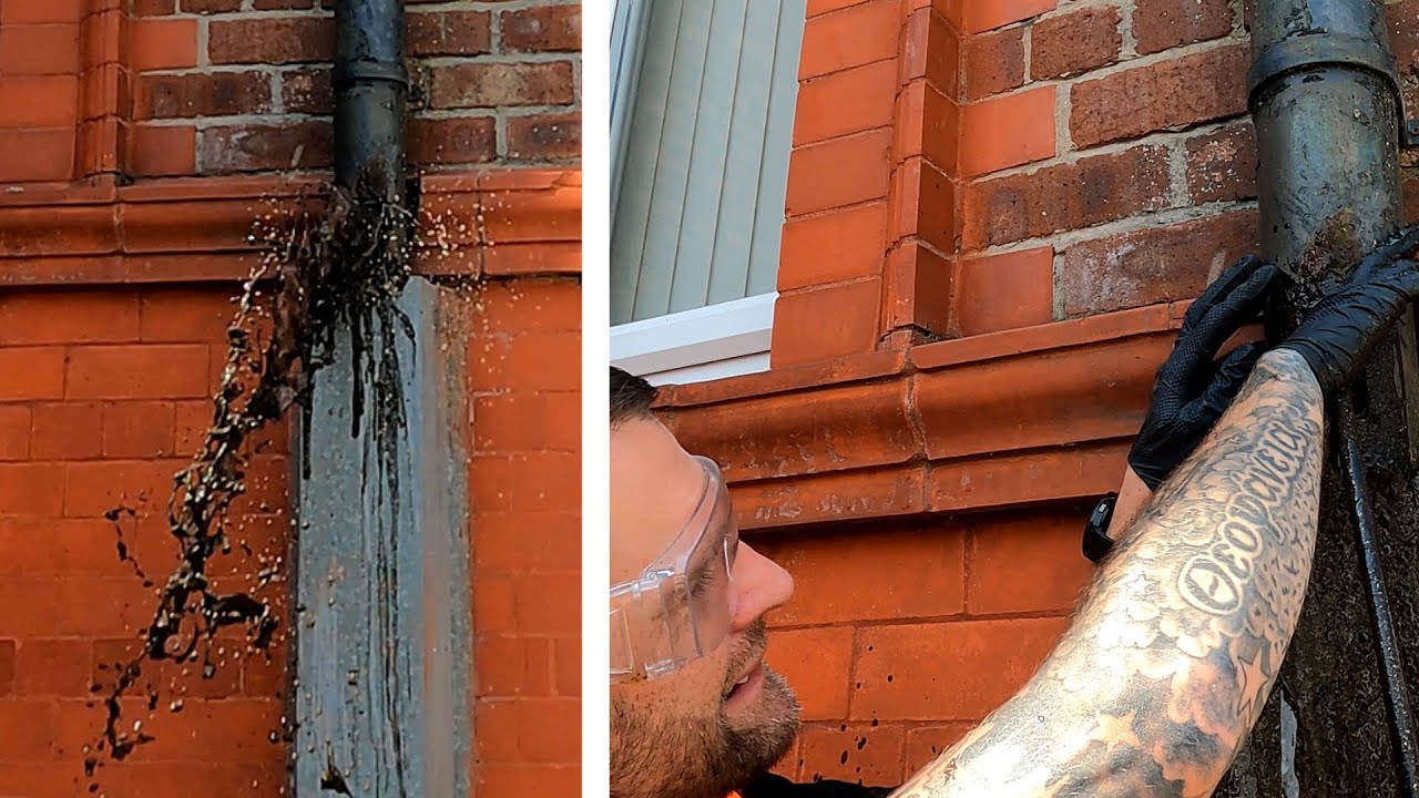 We COULDN'T BELIEVE what we found in this Soil Stack 🤯🤯🤯