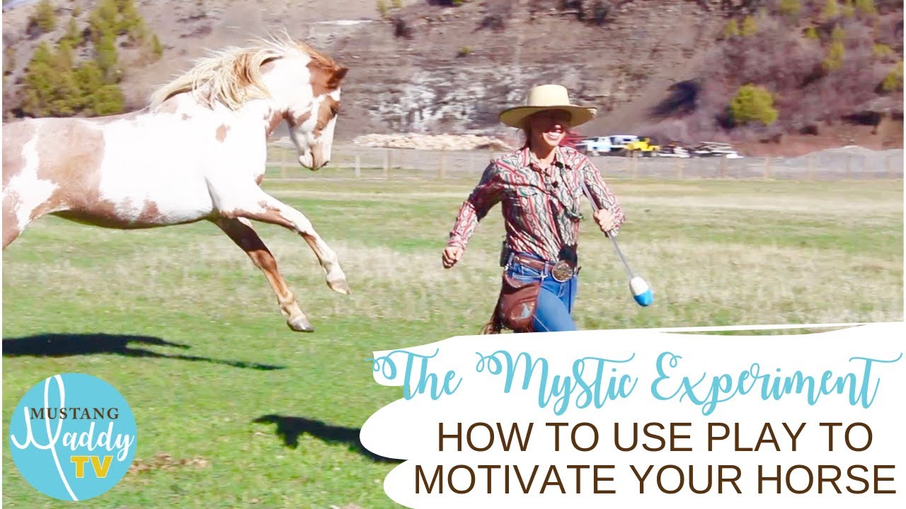 How to Use Play to Motivate Your Horse
