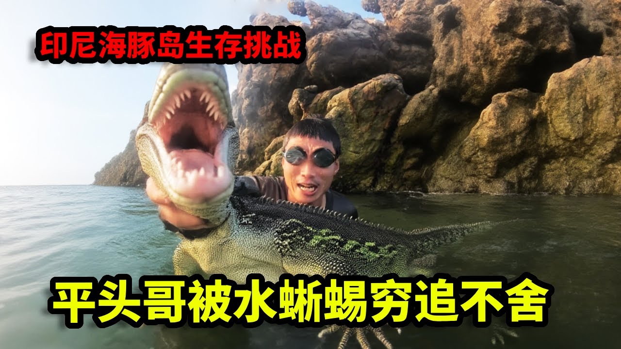 印尼海豚岛生存挑战6~10：平头哥潜水抓八爪鱼，被水蜥蜴穷追不舍，反手将它制裁【户外平头哥】