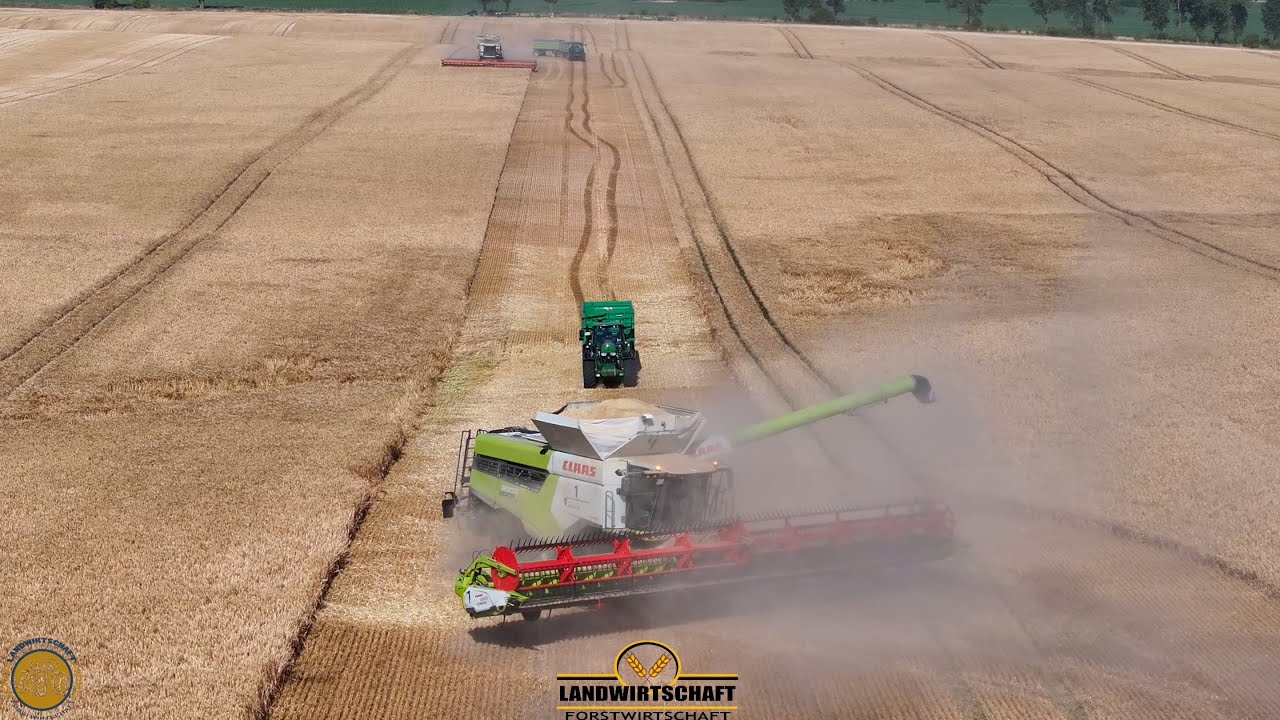 SO SIEHT EIN 160HA HEKTAR FELD AUS 2X Claas Lexion 8900 18.000L Korntank Großeinsatz Getreideernte