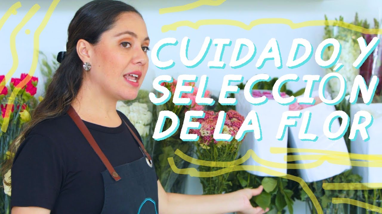 Cómo elegir y cuidar tus flores para que duren más Guía esencial de floristería