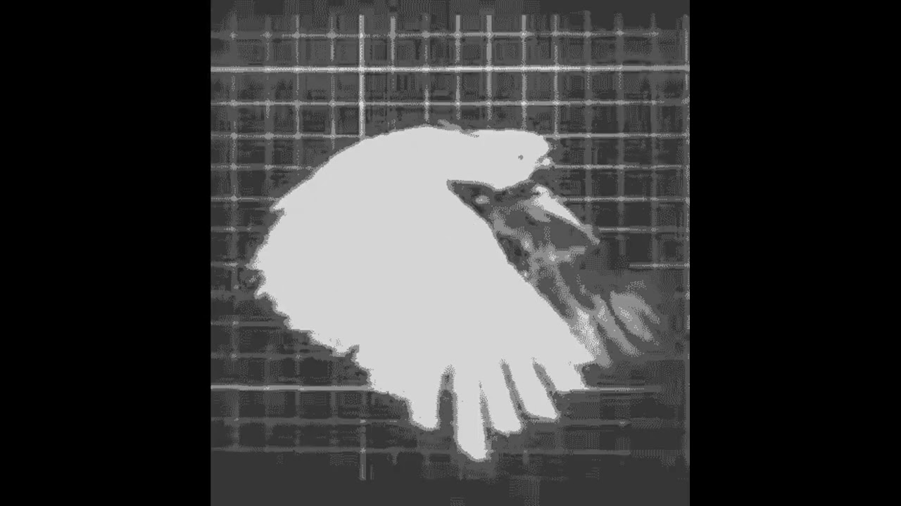 [FREE]  Baby Keem type beat -  ‘SHADES’