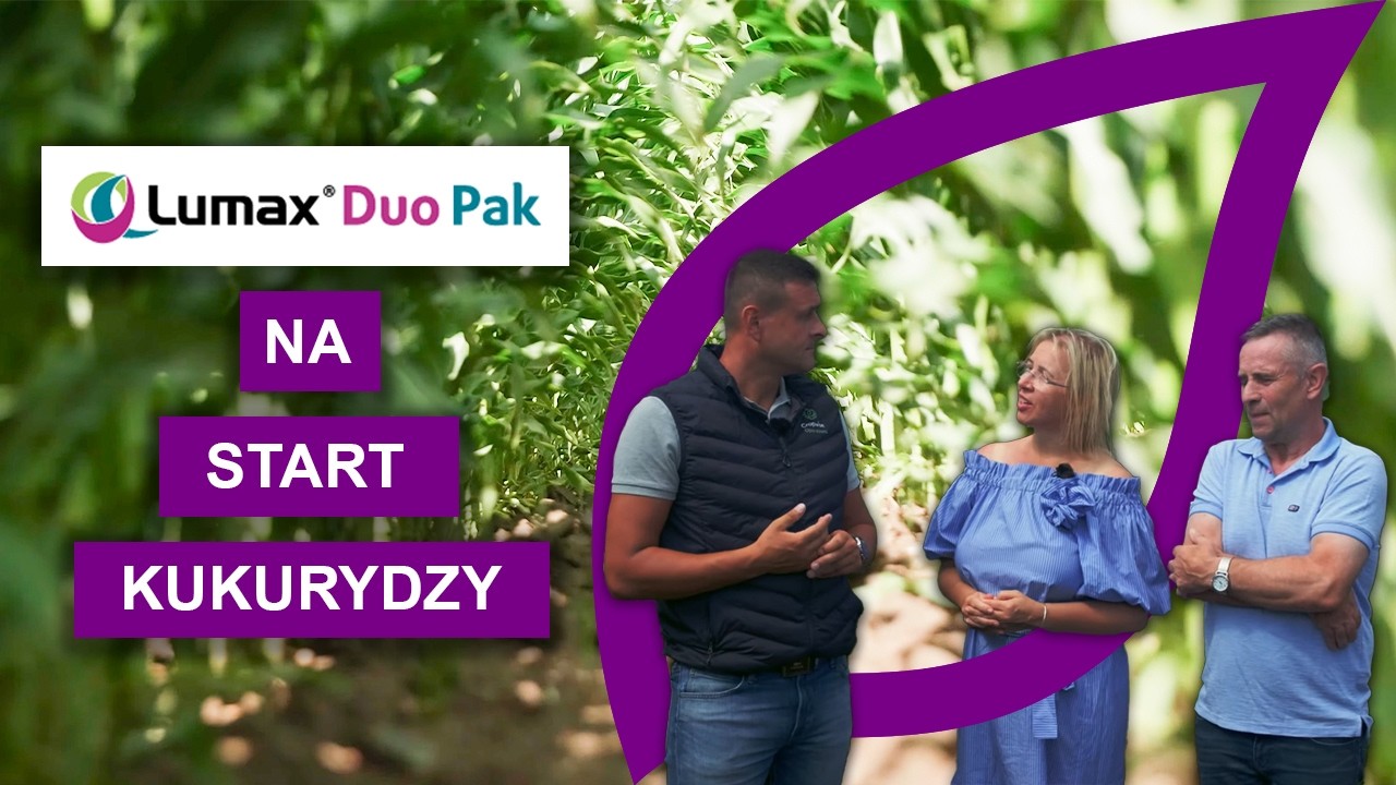 Lumax Duo Pak. Mady, wyczyniec, wolny start kukurydzy. 
