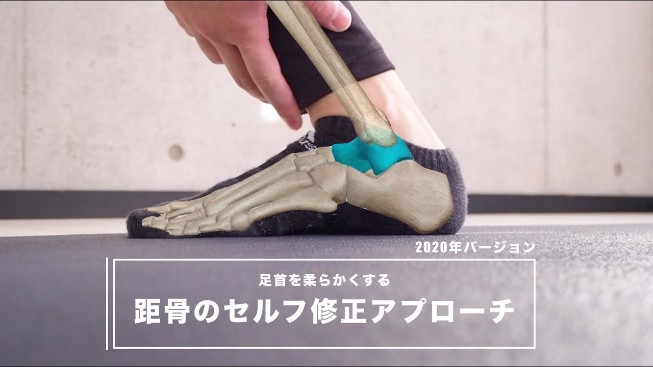 足首を柔らかくするには距骨にアプローチ！ストレッチと合わせて84％の劇的な変化を体感せよ！！【2020年リメイクver】
