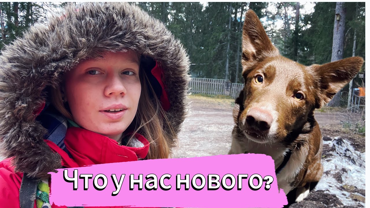 Прогулка в 3 часа 😎