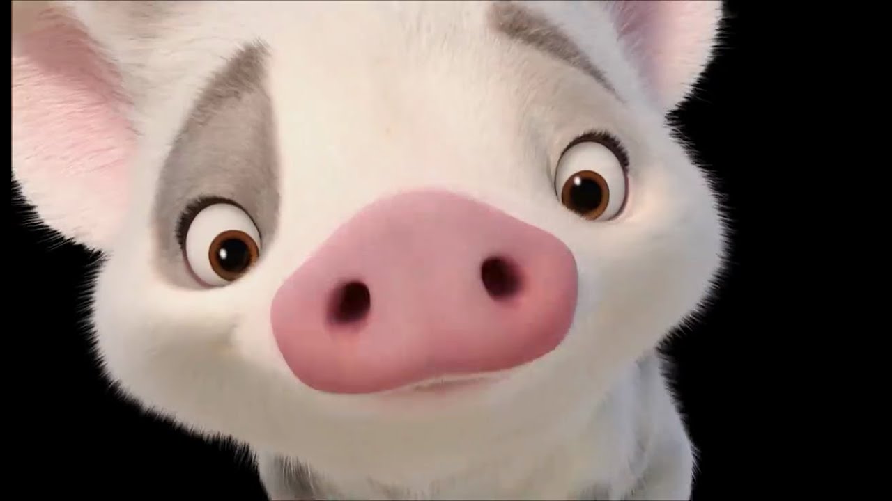 MOANA - Say Hello to Pua! (2016) Disney Animated Movie HD