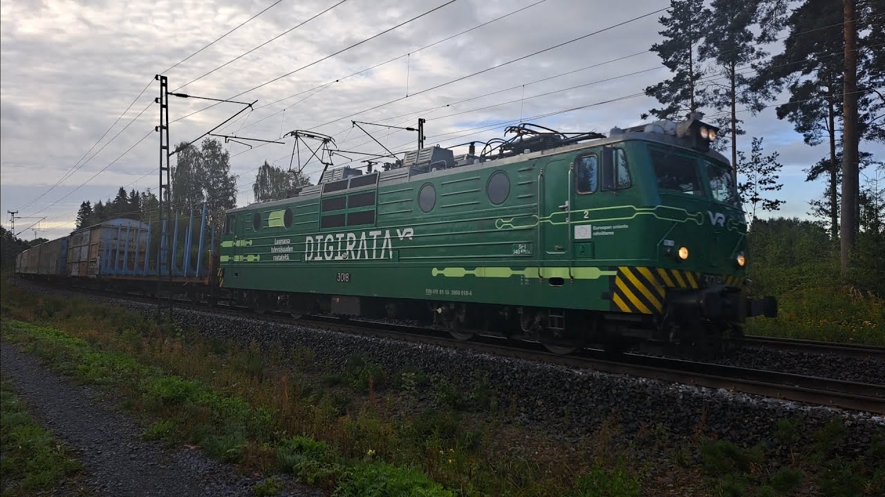 Torvi kooste #7