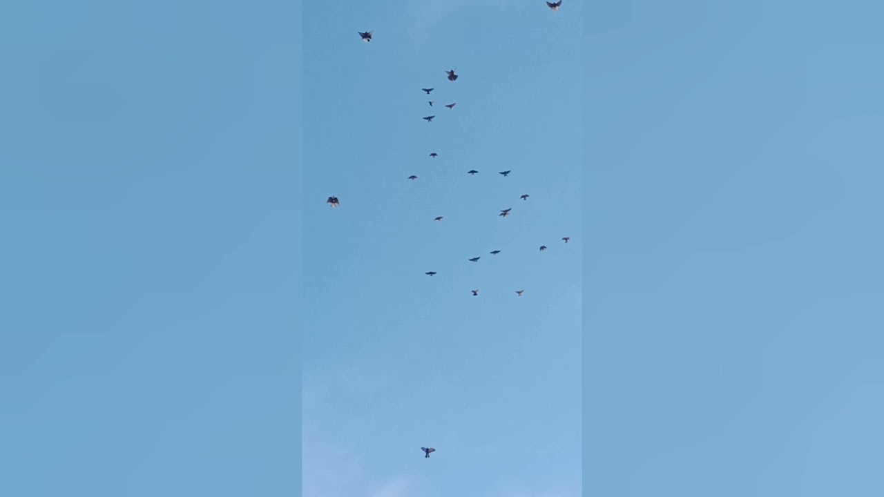 9 февраля 2026 г.