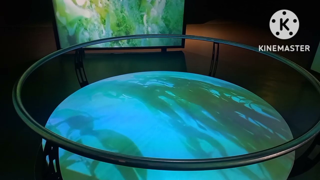 parque  explora en le&oacute;n gto