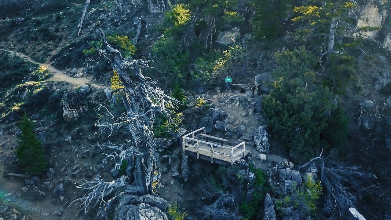 Jardine Juniper Drone Landscapes