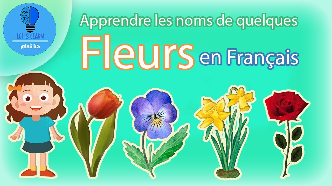 Apprendre les noms de quelques fleurs en fran&ccedil;ais