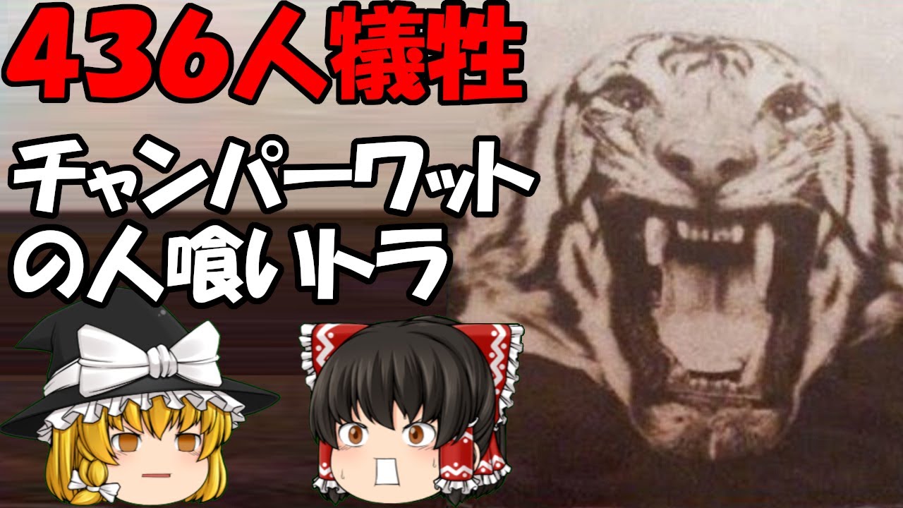 【ゆっくり解説】436人が犠牲！史上最悪の獣害事件　チャンパーワットの人喰いトラ
