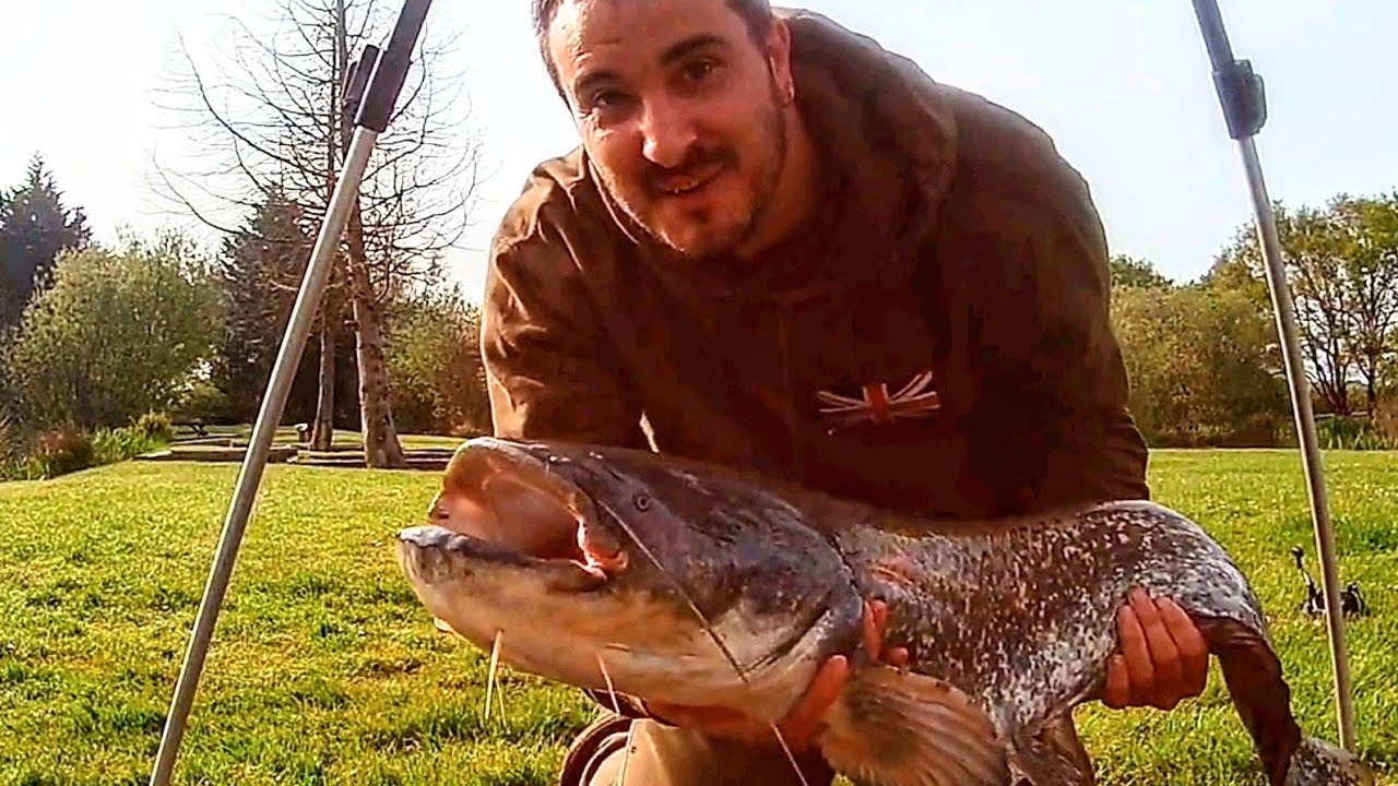 Spring Catfish Session 2025, Charlies Lake Ashford Kent