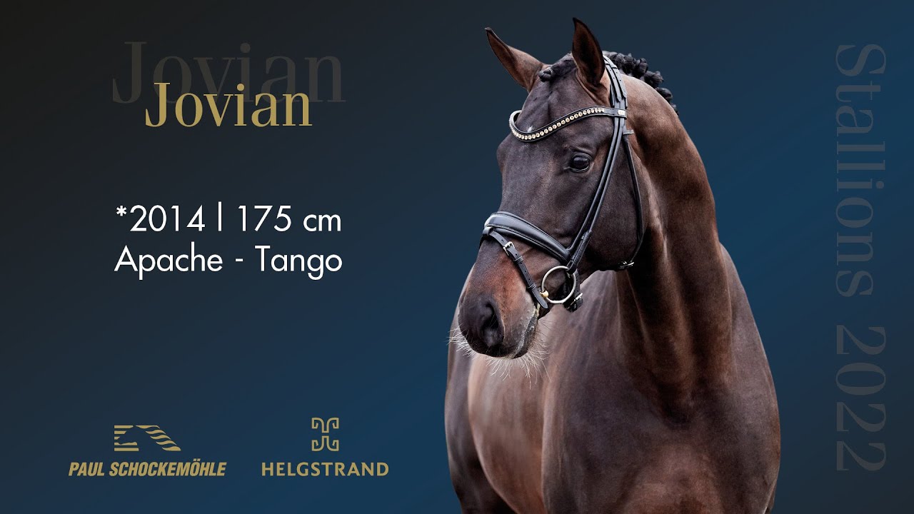 Jovian - Dressage Collection 2022 Schockemöhle & Helgstrand (ENG)
