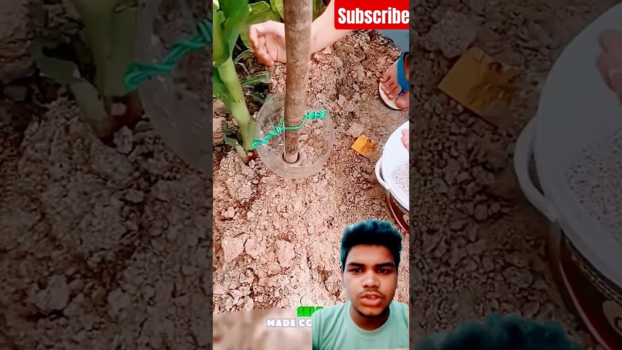 tools fertilizing made convenient tricks #tricks #tools #convenientlocation #greenscreen