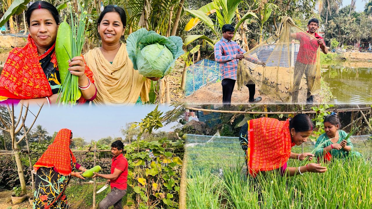 আমি আর মা মিলে কত রকমের সবজি তুললাম দেখুন