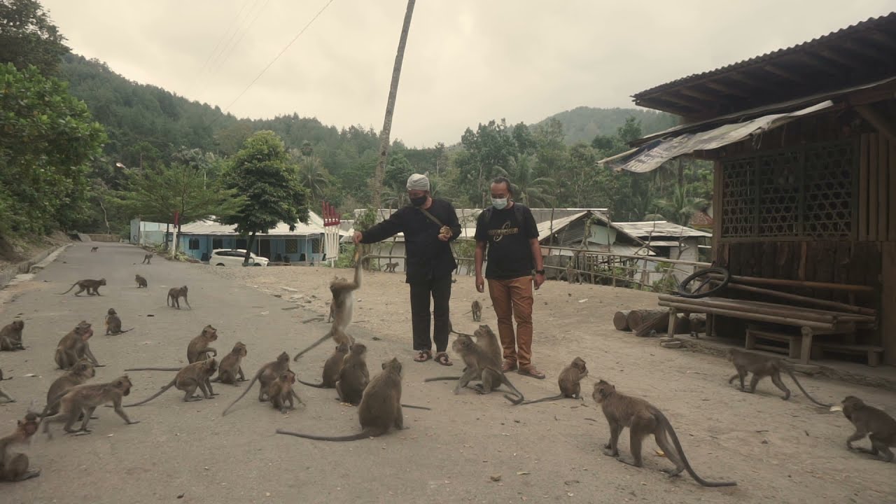 PROFIL DESA WISATA CIKAKAK | Gelar Desa Wisata 2021