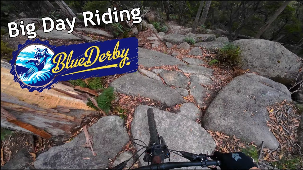 Lapping Blue Derby | T15