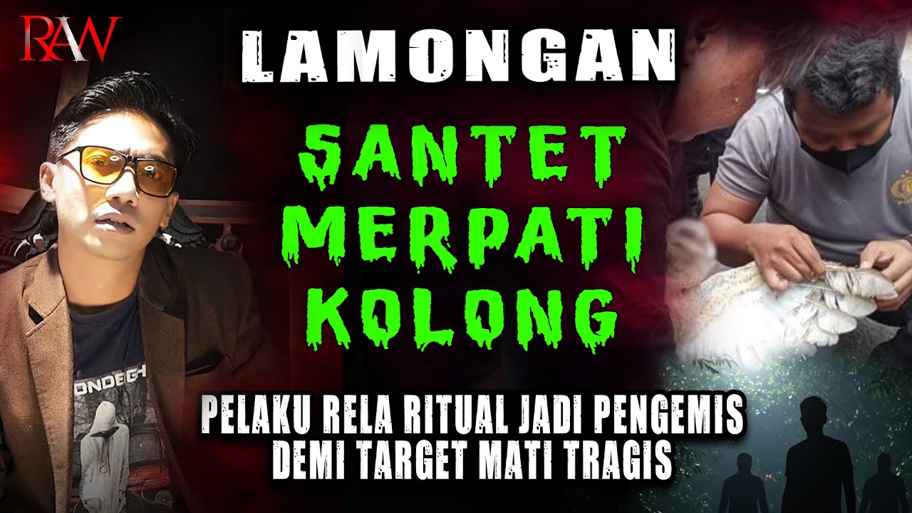 SANTET MERPATI KOLONG LAMONGAN | RYAN AGUS WIDODO