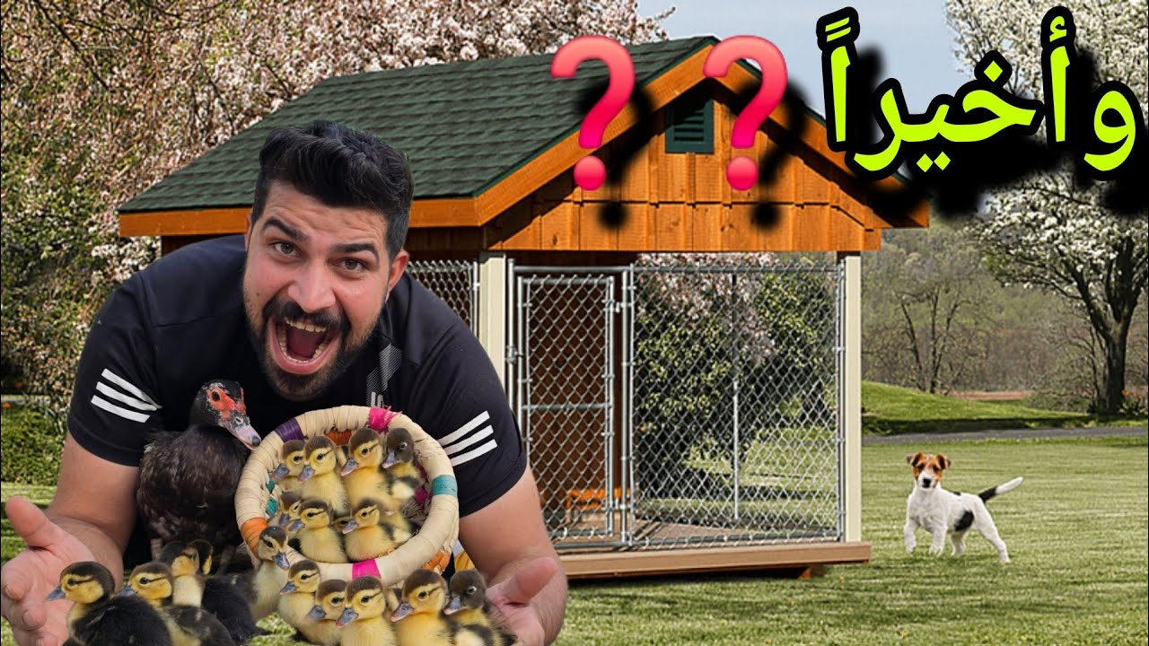 تحقق حلم المتابعين😅ويفقس البش المصري بشكل كامل👌