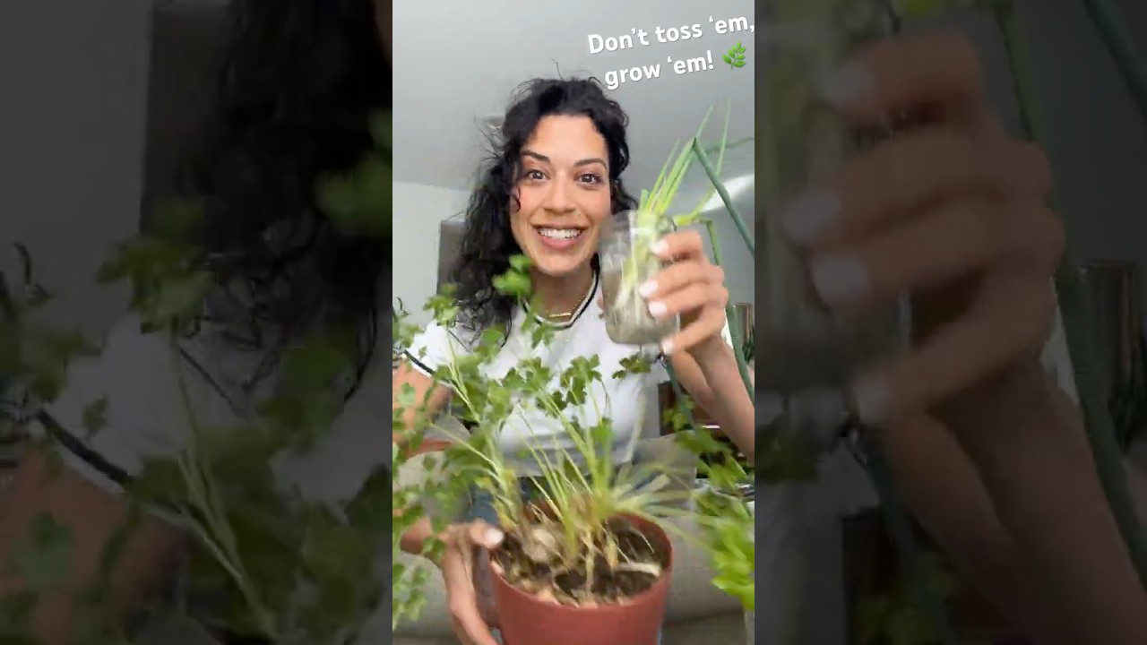 Easily regrow fresh herbs! #plants #herbs #grow #freshherbs #fresh #easy #nowaste #regrow #simple