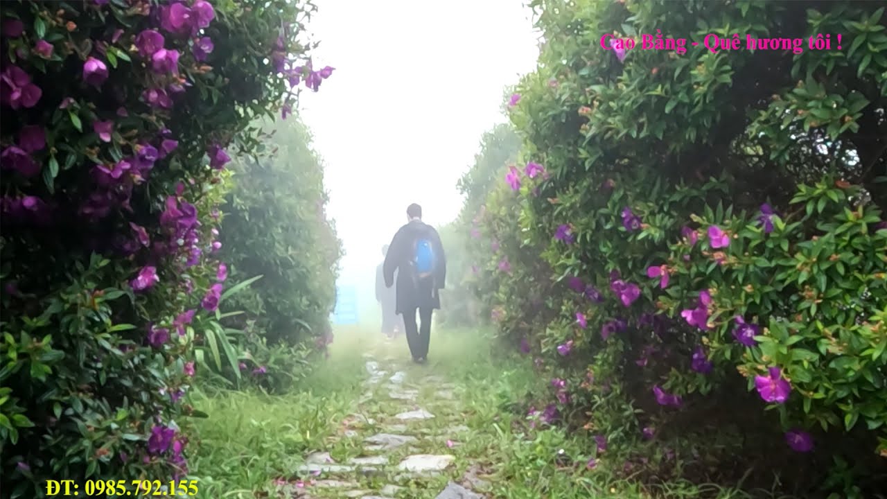 Huyền Ảo Và Thơ Mộng. Cùng Anh Chị Đến Từ Anh Quốc Đi Khám Phá Du Lịch Cao Bằng